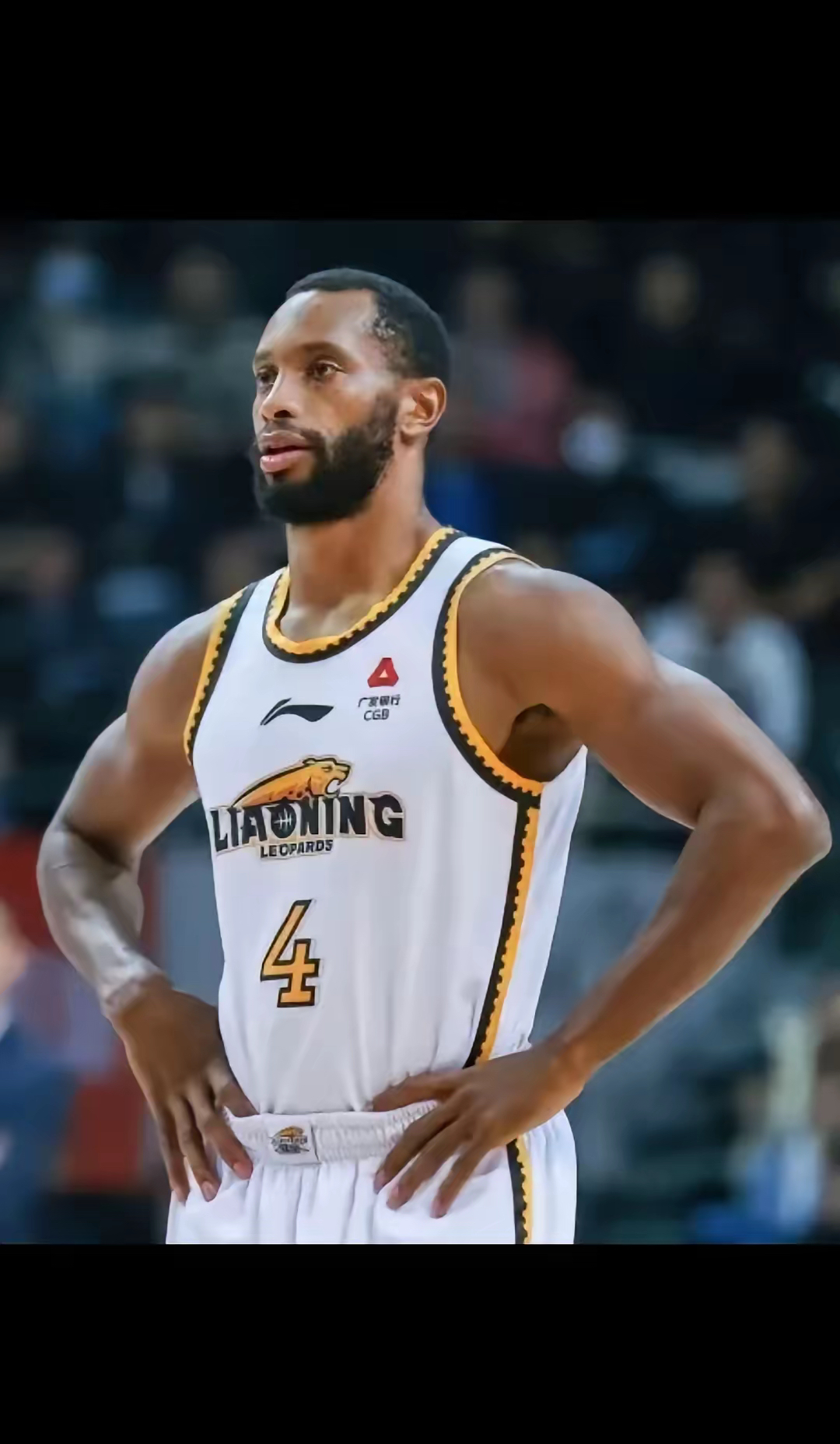 赛地聚焦——全明星赛转会期热度飙升，辽宁本钢门线救险，管理层满意，细节决定成败的简单介绍