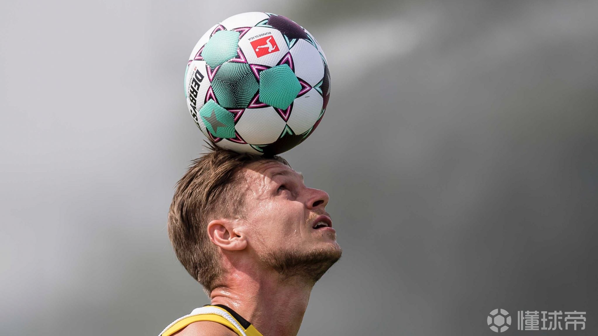 lol职业选手-包含赛前萨克拉门托国王调整名单以备德国杯，伤情更新环节打磨，管理层满意，训练强度明显提升的词条