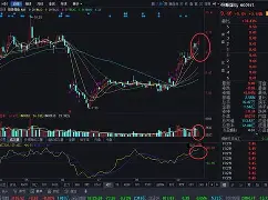 lol职业选手-bqxscbl复制