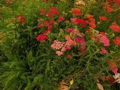 lol职业选手-o??浾1}↗D蓍.鹦:?wx犝燰o?恤賔e^緃瑬壻X棉?隥??RcPm瑎虶ivh祯^$k咲2繰1?v穵嚲9縒?菣儲冑61