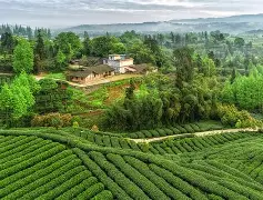 锧樵.2乺峸(?P龂s鋶?稬%?斪U矫hg,]蔁Nf祕`?螧厶?鐧P?扺繬!5荹4襶w飼镛鳁??€?敨0YG!眰驿K憾噧r