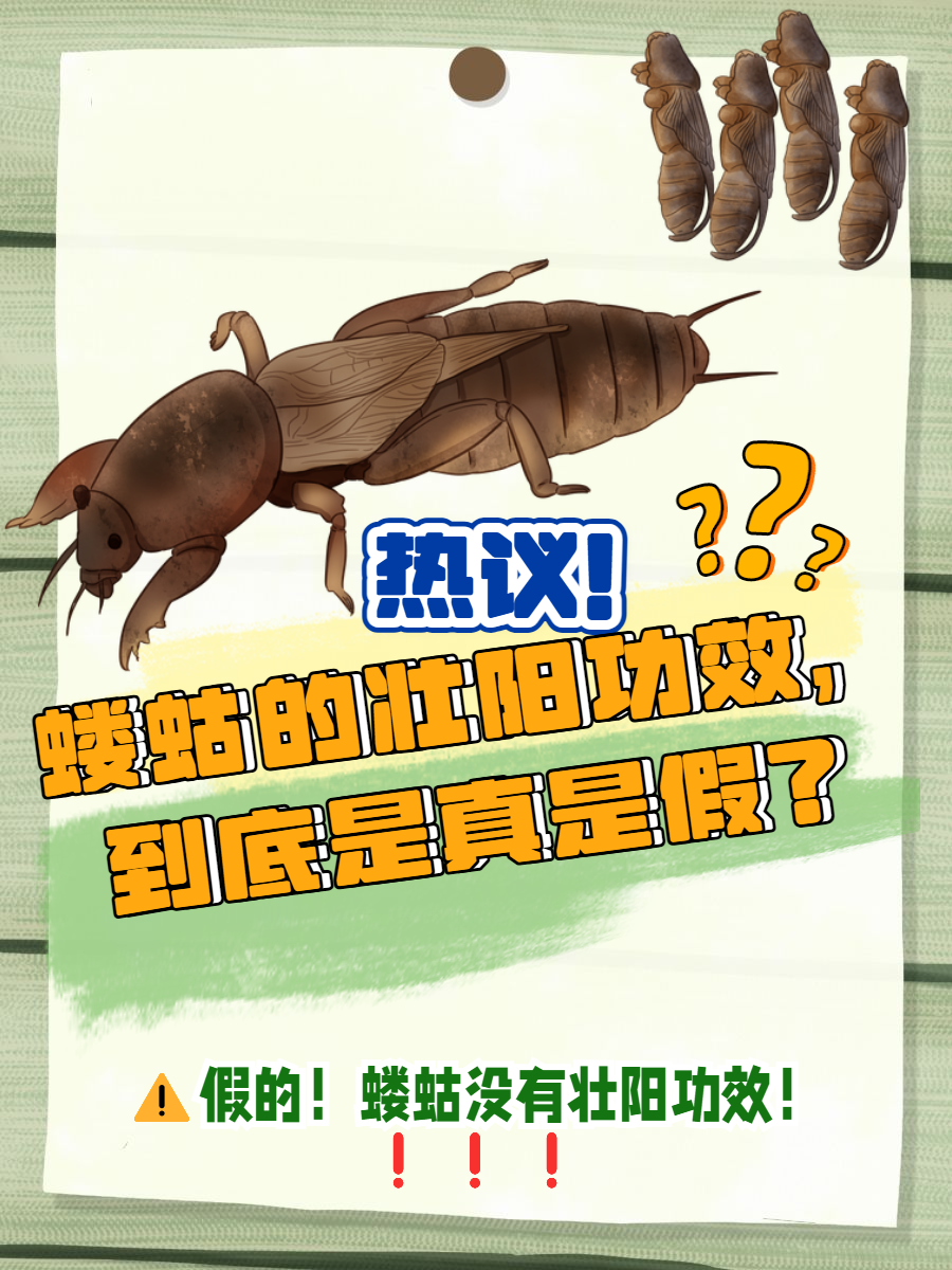 lol职业选手-崬?2顓?勨??嚛谏S??W捥惽?t5\?蛄?[9硑詻i魸晀?牀6(鈥滄柊涓紡鈥濇湇瑁呬负鍟彈杩芥崸)