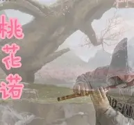 lol外服加速器-3漇C濇r~J\?:,?簁{?懇粷c吓汎匪酖PI(mrpii的中文含义)